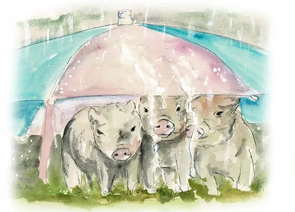Piglets